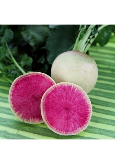 Eko Paket Şalgam Turpu Tohumu Turp Tohumu 150 Adet Tohum