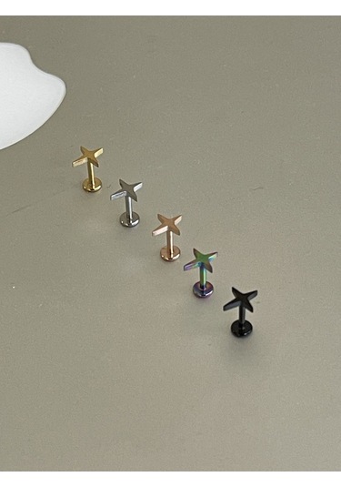 316 L Cerrahi Çelik Tragus Helix Kıkırdak Conch Minimal Kutup Yıldızı Piercing Rose