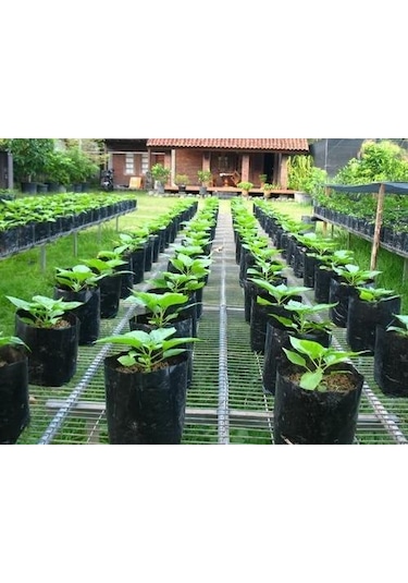 Fidan Poşeti 25X50 Cm Körüklü Fidan Torbası Fide Fidan Poşetleri