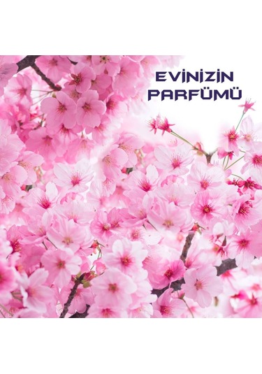 Bingo Fresh Yüzey Temizleyici Pembe Düşler 4 x 2500 ML