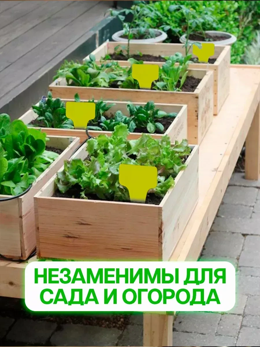 Domsadmarket Fideler Ve Bitkiler İçin Bahçe Etiketleri 50 Ad 70102389