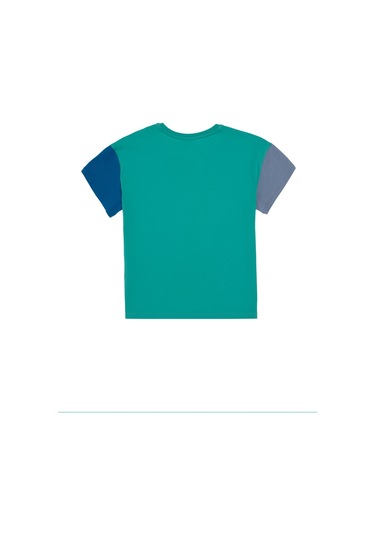 U.s. Polo Assn. Erkek Çocuk Mint Tişört 50307154-vr090 Mint