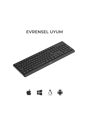 Philips SPK6368 Kablosuz Türkçe Q Klavye