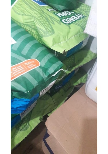 May Silajlık Mısır Tohumu M16s45