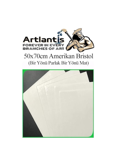 Amerikan Bristol Karton 35x50 Cm 5 Adet 220 Gr Bir Tarafı Parlak Bir Tarafı Mat Kağıt Biristol Karton