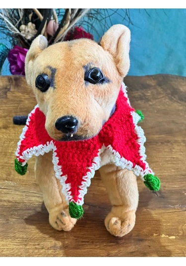 El Örgüsü Noeltasma Kedi Tasma Köpek Tasma Bağlamalı