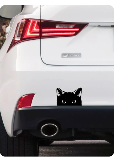 Stadi Balkondan Bakan Kedi Çıkartması 194985511 Siyah