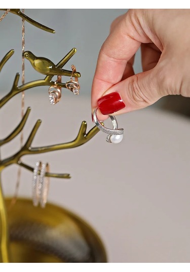 Mıland Takı Ve Takılarınız İçin Düzenleyici Stand 478283716