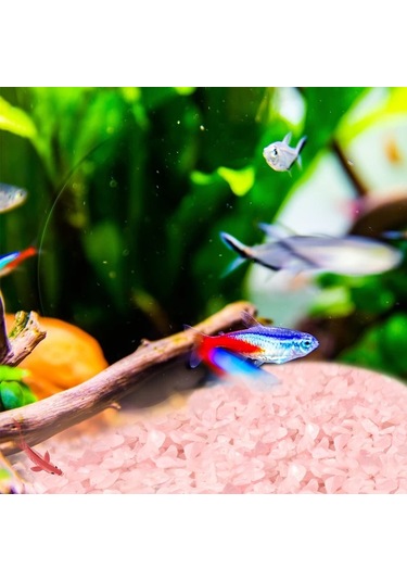 Willowhaven 200g Pembe Kuvars Çakıl Dekoratif Akvaryum Ve Saksı Taşları