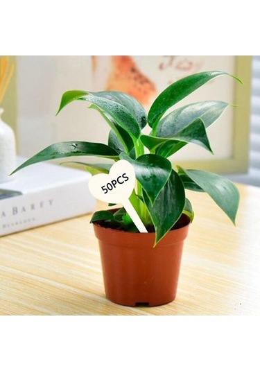 Trendooze Homyl 50 Adet Bitki Kalp Şekil Saksı Etli Ekici Adı Etiketleri