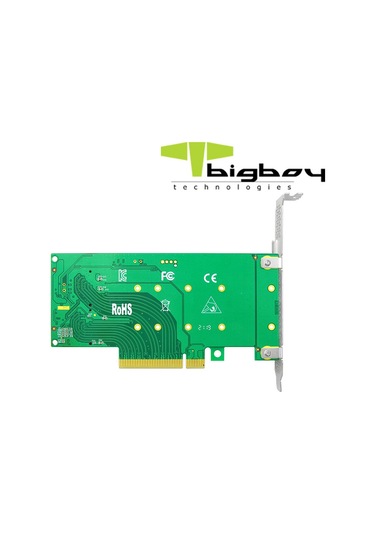 Bigboy BTC-M2G4X2 PCIe 4.0 x4  PCIe 4.0 x8 2xm.2 NVMe Dönüştürücü