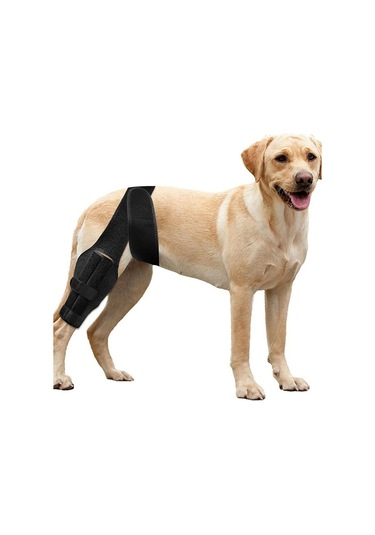 Homyl Köpek Bacak Desteği Esnek Destek Bandajları Malzemeleri