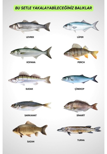 Spin At-çek Deniz Ve Göl Profesyonel Olta Seti Takımı - M - 1.50mt / 10-30gr - 42 Parça Elite