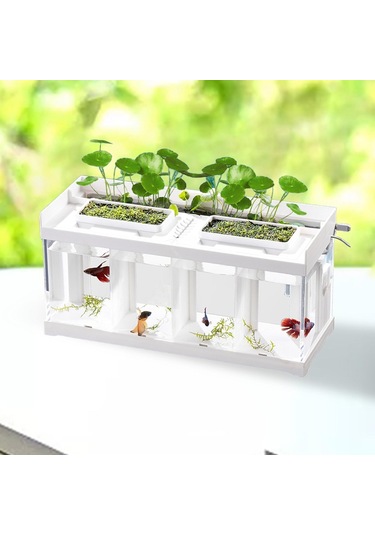 Magideal Suntek Balık Kase Bölünmüş Kuluçka Akvaryum Tankı Bahçe