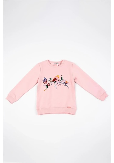 Kız Çocuk Pembe Uzun Kollu Kuş Nakış Detaylı Kışlık Sweatshirt Pembe