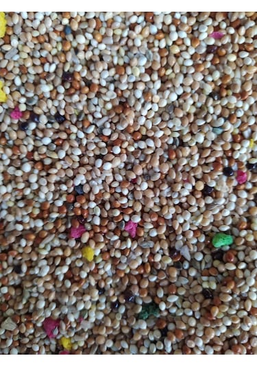 Meyveli Muhabbet Karışık Kuş Yemi 5 KG