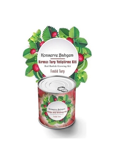 Buffer Konserve Bahçem Evde Konservede Fındık Turp Yetiştirme Kiti Mavi