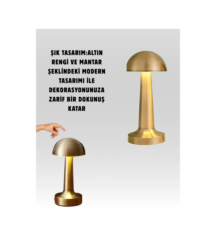 Mantar Masa Lambası