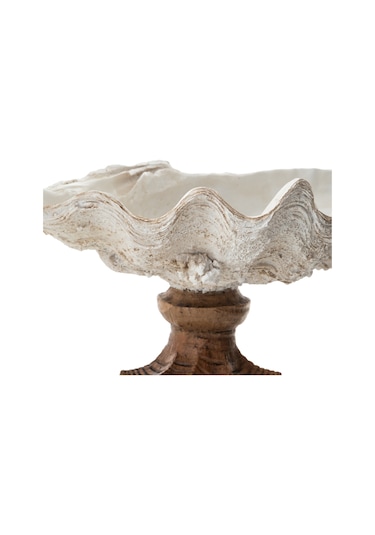 Mudo Home Shell Dekoratif Kase Beyaz 45x25x23 Cm