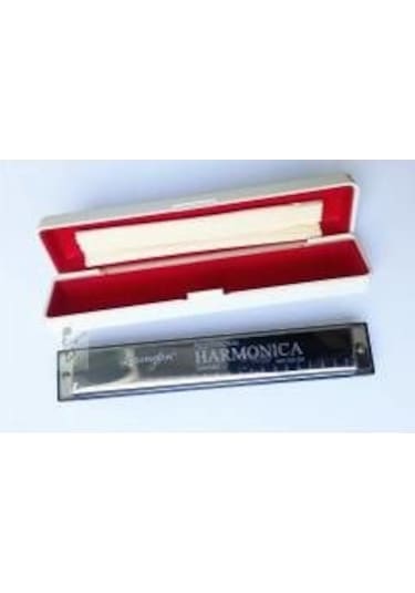 Lexington Professional Harmonica C do - Mızıka - 24 Delikli
