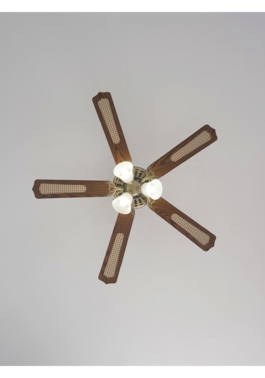 Woox İleri Geri Fonksiyonlu 5 Kanatlı Fan Ve Işıklı Uzaktan Kumandalı Tavan Vantilatörü,kahverengi