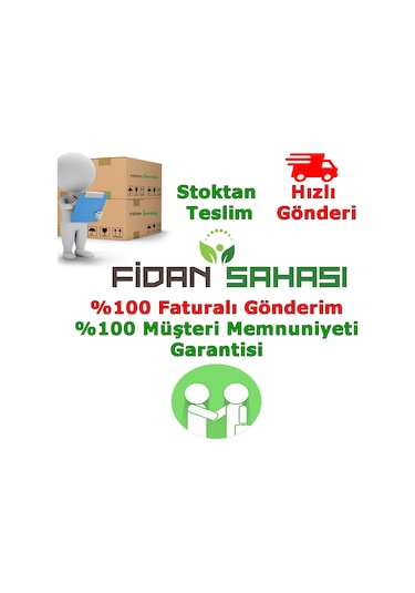 Torf Toprağı 25 L