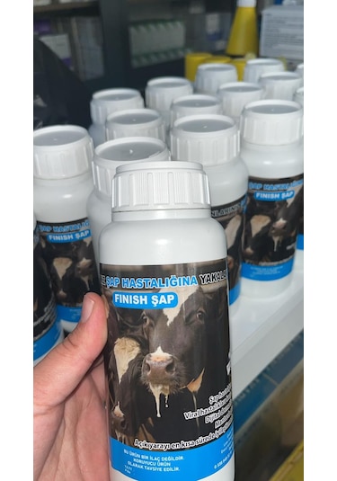 Fınısh Şap Şapa Son 600 Ml