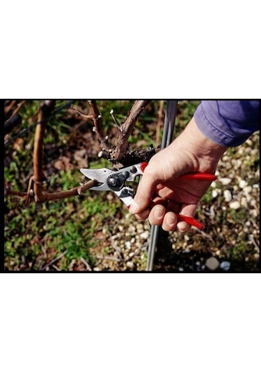 Felco 6 Budama Makası +  Bere