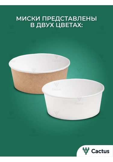 Cactus Kağıt Tek Kullanımlık Derin Tabaklar 750 Ml 45 Adet. 258272399 100 adet