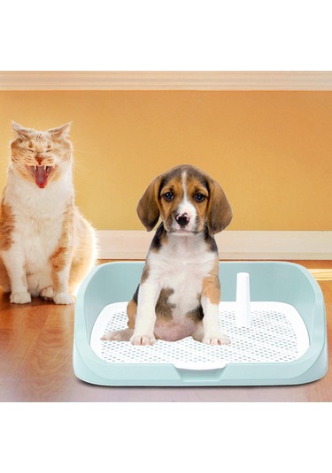 Homyl Yıkanabilir Pet Eğitim Tuvalet Tepsisi Lazımlık Yeşil