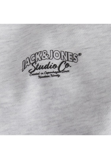 Açık Gri Jack & Jones Erkek Bisiklet Yaka Sweatshirts 12262880 001