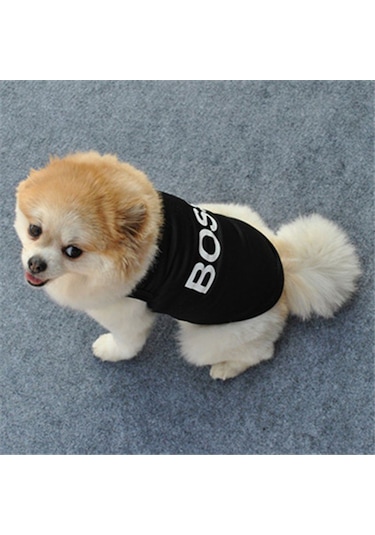 Köpek Ve Kedi İçin Pet Boss Siyah Sweat Tshirt Kıyafet