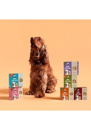 Kito Fresh Köpek Yemeği Tanışma Paketi 6'lı