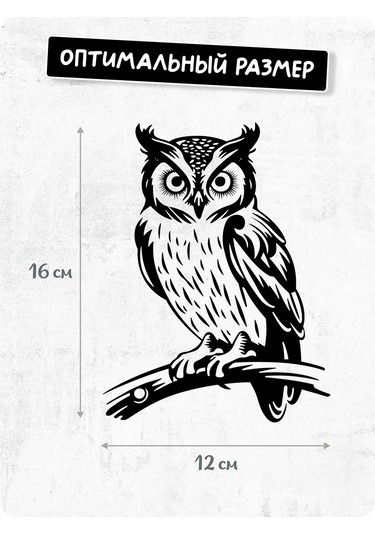 Stadi İç Mekan İçin Dekoratif Çıkartma Buçuk 223576726 Siyah