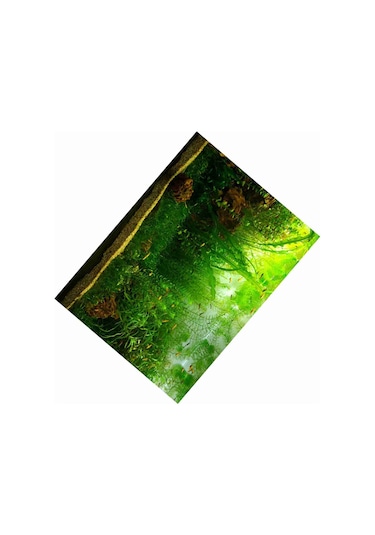 Qingmipy Akvaryum Su Bitkileri Desenli Pvc Arka Plan: Kalın, Su Geçirmez, Kendine Yapışkan, Doğal Görünüm 91x50 Cm