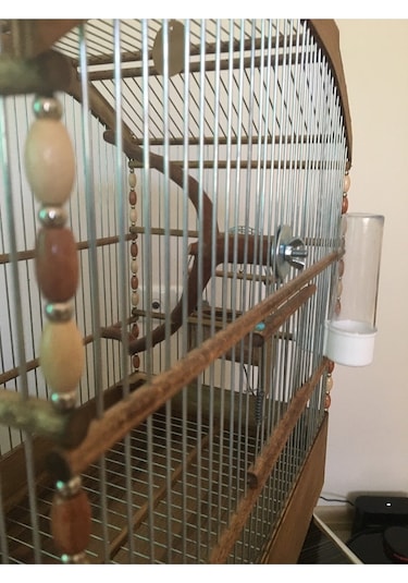 Naturbird Kavisli Çatı Ahşap Kuş Kafesi