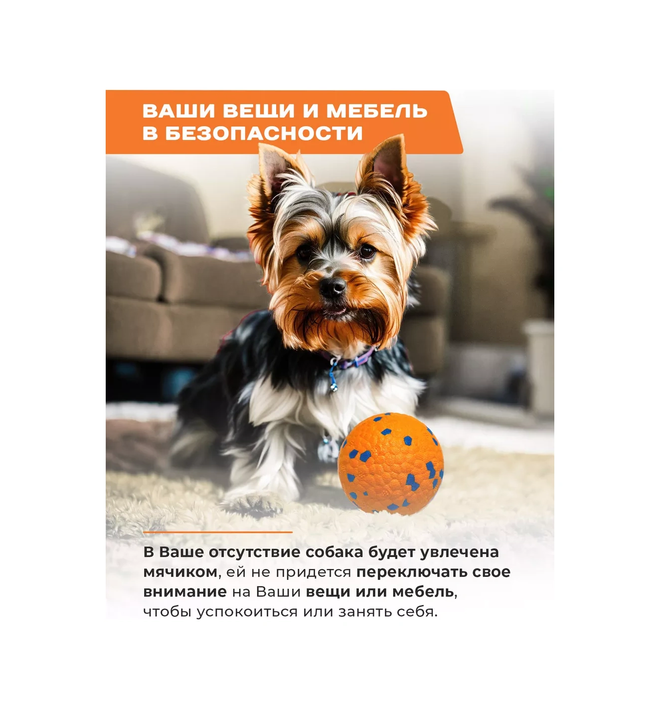 Purrfect Place Köpekler İçin Oyuncak, Süper Dayanımlı Top 201068037