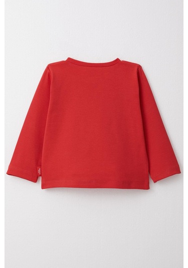 Breeze Erkek Çocuk Uzun Kollu Tişört Basic 1-4 Yaş, Kırmızı-kırmızı Kırmızı