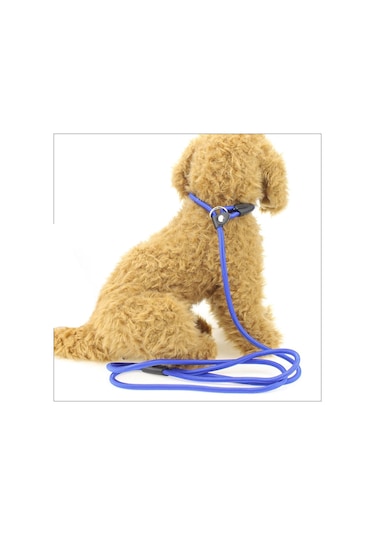 Köpek Boğma Eğitim Tasması Orta Irk 1 Cm - Mavi