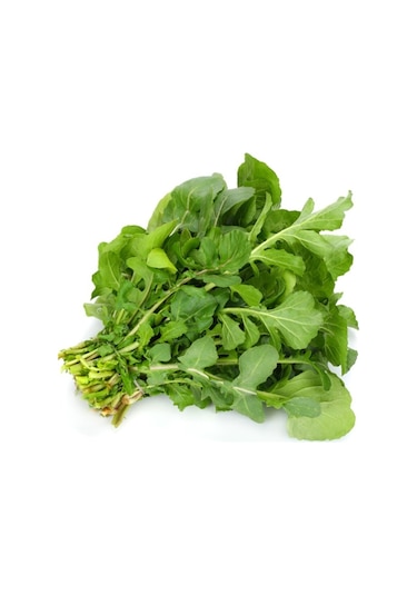 Roka Tohumu Yerli Roka Tohumu Yetiştirme Kiti