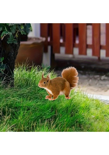 Büyüleyici Sincap Yığını