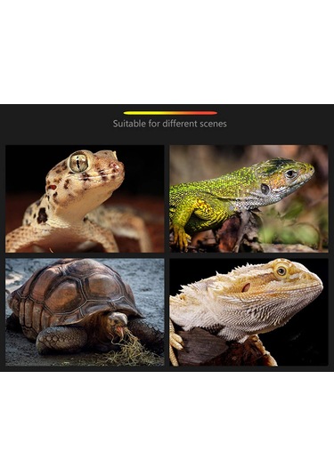 Su Kaplumbağaları İçin Büyük Kaplumbağa Basma Platformu, Kaplumbağa Severler İçin Kaplumbağa Platformu, Boyut: L