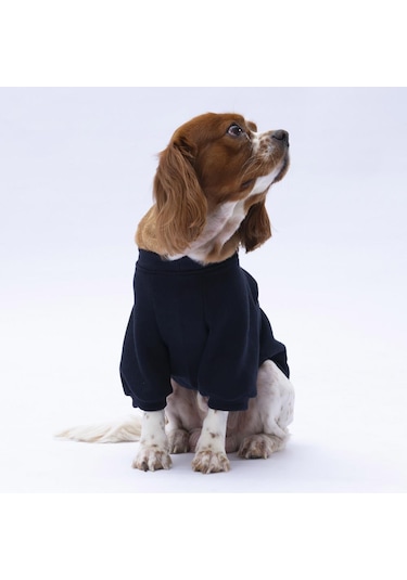 Siyah Chongqing Kedi Köpek Sweat- Kedi Köpek Kıyafeti