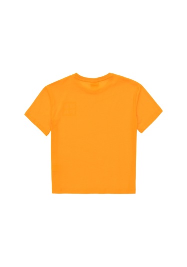 U.s. Polo Assn. Erkek Çocuk Turuncu Tişört Basic 50295447-vr051 Turuncu
