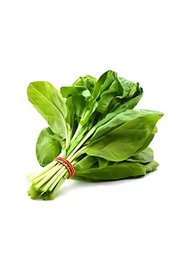 Doğal Anadolu Geniş Yaprak Pazı Fidesi 5 Adet