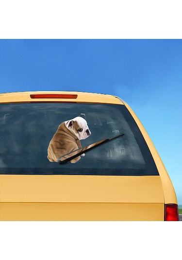 Jeemson Araba Arka Cam Köpek Sticker, Kabin Dekorasyon, Yağmur Sileci Sticker, Normal Yapıştırıcı Malzeme, 26x5cm Paket