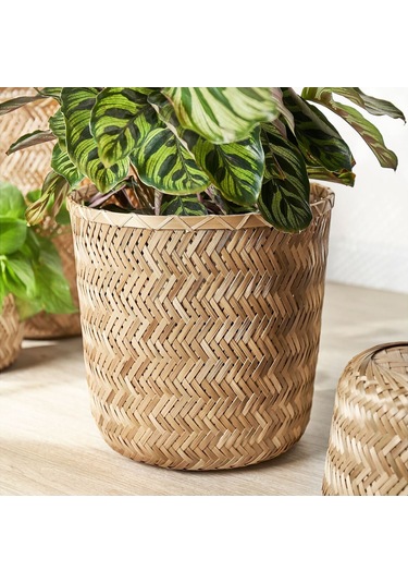 Bambu Saksı, Bambu, 24 Cm 3 Adet