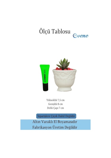 Kaktüs Saksısı Dekoratif Saksı Model 14 - Beyaz
