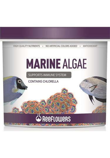 Reeflowers Marine Algae Tuzlu Su Balık Yemi 1 L