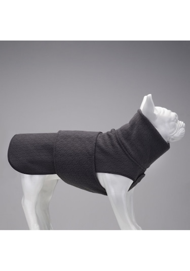 Ashen Grey Küçük, Orta Ve Büyük Irk Köpek Poları